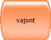 vajont